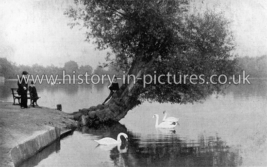 Eagle Pond, Snaresbrook, London. c.1906